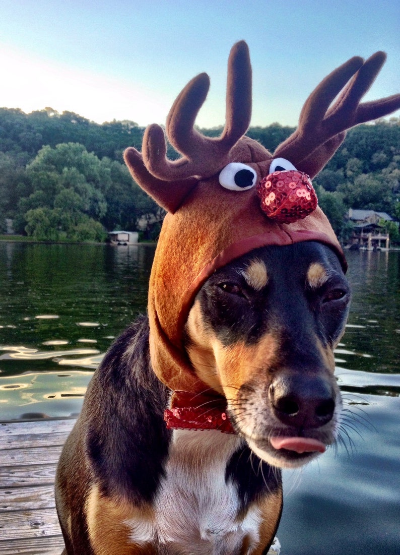 Rudolph the Red Nosed Reindeer Hat for Dogs and Cats | Etsy