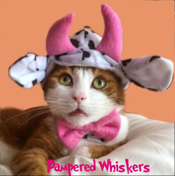 cat worming tablets coles