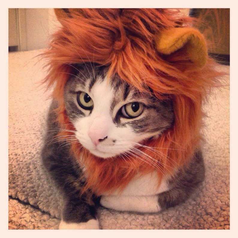 Lion Costume Hat for Cats and Dogs