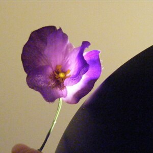 Pretty Purple PANSY customizable on bobby pins, barrettes, combs or alligator clips image 2