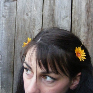 Duo of yellow DAISY hair pins customizable on bobby pins, barrettes, combs or alligator clips image 2