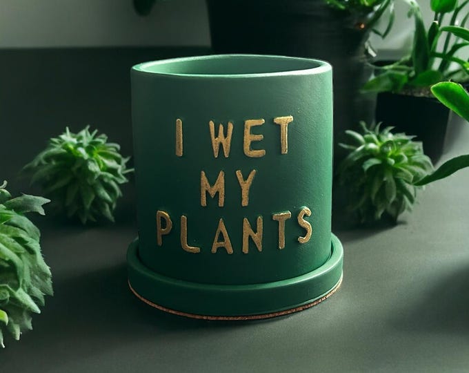 Novelty plant pot | Plant pot | quirky gift | Funny gifts | New home gift | Secret Santa | Christmas | Desk decor | Teacher gift
