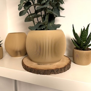 Op de afbeelding: Een verzameling beige, geribbelde houten plantenbakken van verschillende afmetingen, elk met een andere vetplant of plant. De plantenbakken zijn gerangschikt op een witte plank, met een natuurlijke houten schijf onder de grootste.