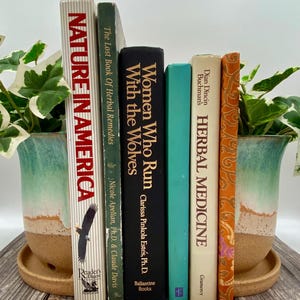 Handmade Ceramic Planter Bookends - Flat Back Wall Pots for Plants - Book End Planters