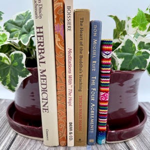 Op de afbeelding: Een verzameling boeken, waaronder "HERBAL MEDICINE" en "THE FOUR AGREEMENTS", is geplaatst tussen twee bordeauxrode keramische potten met groen-witte planten. De boeken hebben verschillende kleuren en ontwerpen, wat een aantrekkelijke presentatie creëert.