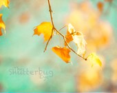 Dreamy Autumn Nature Photo, Golden Yellow Maple, Mint Green Sky, Fine Art Photography Print, Aqua, Teal, Decor