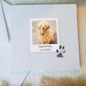 Tarjeta de felicitación con foto personalizada: del perro o gato, con cualquier nombre y cualquier foto