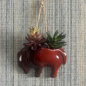 May include: A red ceramic bison planter with a hanging rope, filled with green and purple succulents.