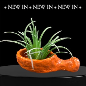 May include: An orange ceramic planter shaped like a chicken drumstick, filled with green and white striped plants. The text "+ NEW IN + NEW IN + NEW IN +" is at the top of the image. The planter sits on a black surface.