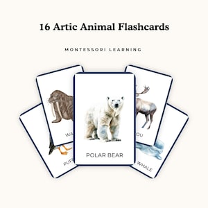 Może przedstawiać: Zestaw 16 kart edukacyjnych z arktycznymi zwierzętami z akwarelowymi ilustracjami. Karty przedstawiają zwierzęta takie jak niedźwiedź polarny, mors i wieloryb. Tekst "Polar Bear" jest widoczny na jednej karcie. Widoczne są również słowa "Montessori Learning".