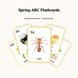 Könnte beinhalten: Frühlings-ABC-Lernkarten mit Montessori Learning-Text. Die Karten zeigen Aquarellillustrationen einer Biene, einer Ameise, eines Küken und anderer Frühlingsmotive. Jede Karte zeigt einen Buchstaben des Alphabets.