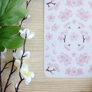 Sakura Sticker Sheet White