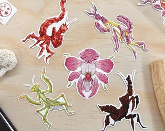 Praying Mantis Stickers Waterproof Insect Vinyl Garden Theme Sticker Orchid Mantis Decor Whimsical Stationery Gift for Bug Lovers