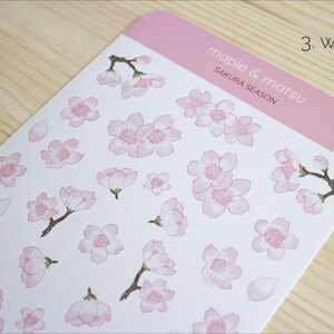 Pode incluir: Uma folha de adesivos brancos com desenhos de flores de cerejeira rosa. Os adesivos est&atilde;o dispostos em uma grade e apresentam diferentes tamanhos e arranjos das flores. A folha tamb&eacute;m inclui algumas pequenas p&eacute;talas rosas. A folha tem um cabe&ccedil;alho rosa que diz "maple & matsu" e "SAKURA SEASON" em uma fonte branca. O n&uacute;mero "3. white" est&aacute; impresso no canto superior direito do cabe&ccedil;alho.