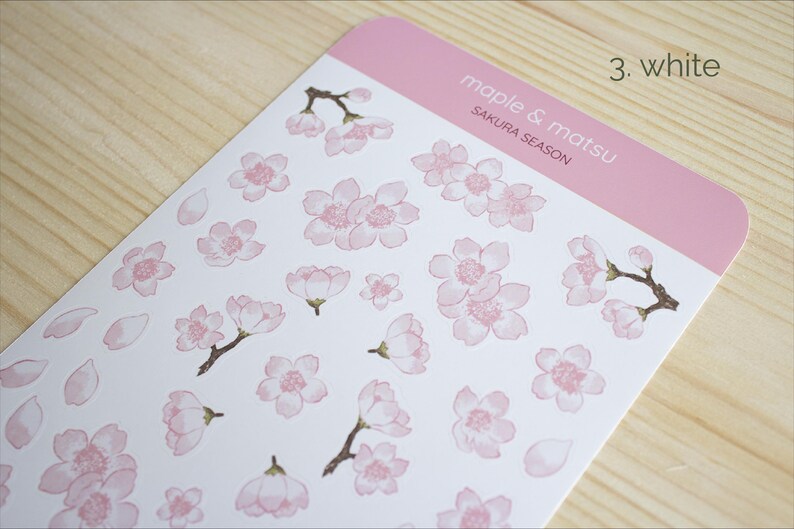 Pode incluir: Uma folha de adesivos brancos com desenhos de flores de cerejeira rosa. Os adesivos est&atilde;o dispostos em uma grade e apresentam diferentes tamanhos e arranjos das flores. A folha tamb&eacute;m inclui algumas pequenas p&eacute;talas rosas. A folha tem um cabe&ccedil;alho rosa que diz "maple & matsu" e "SAKURA SEASON" em uma fonte branca. O n&uacute;mero "3. white" est&aacute; impresso no canto superior direito do cabe&ccedil;alho.