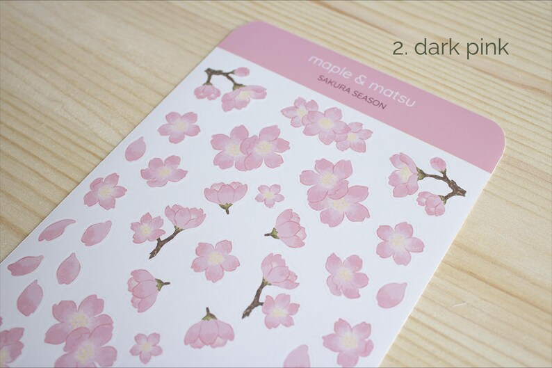 Pode incluir: Uma folha de adesivos de flores de cerejeira rosa e branca com o texto "maple & matsu sakura season" e "2. dark pink".