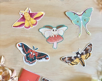 Moth Stickers Waterproof Luna Moth Vinyl Death's-head Hawkmoth Sticker Silk Moth Decor Insect Rosy Maple Moth Whimsical Stationery Gift