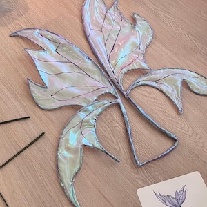 Fairy Wings
