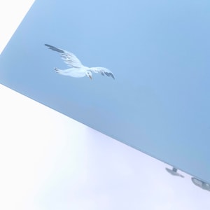 May include: A light blue painted surface with a white seagull flying in the sky.