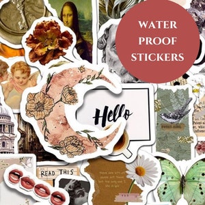 50 Stile Sticker Pack- Vintage Kollektion | hochwertig | rückstandsfrei | Journal und Dekor | Original und Nischen Kunstwerk