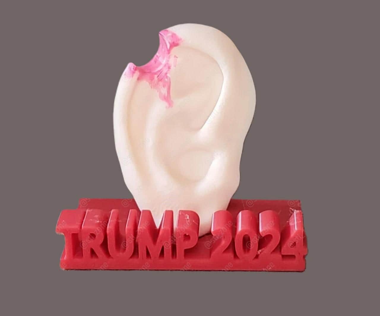 Miniatura Per Casa Delle Bambole – Cartello Prato Trump 2024, Scala 1:12, Dollhouse Diggs