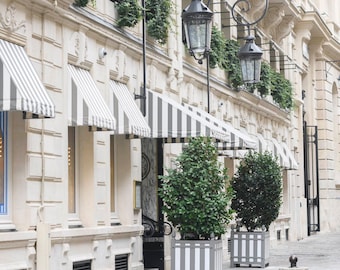 Fotografia de Paris - Hotel de Crillon, França, Fotografia de viagem, Decoração de casa francesa, Grandes obras de arte de parede
