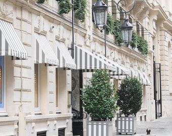 Paris Photography - Hotel de Crillon, France Travel Photograph, French Home Decor, Large Wall Art