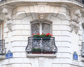 Paris Photograph - Windows on Rue de Grenelle, Architecture Photography, Large Wall Art, Neutral French Home Decor, Fine Art Photo