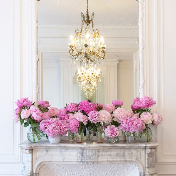 Paris Peony Photograph -  Peonies in a Paris Apartment, Large Wall Art, Floral French Home Decor