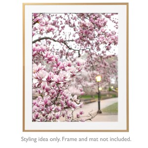 New York Photography - Evening Magnolias in Central Park,  New York Art Print, Gallery Wall, Large Wall Art, Urban Home Decor