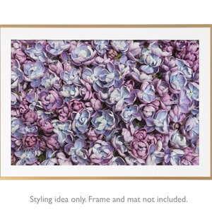 Floral Photography - Lilac Blossom Carpet, Fine Art Photograph, Floral Wall Art, Botanical Wall Decor, Gallery Wall
