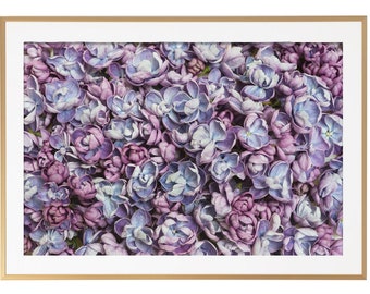 Floral Photography - Lilac Blossom Carpet, Fine Art Photograph, Floral Wall Art, Botanical Wall Decor, Gallery Wall