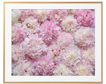 Paris Peony Photograph -  Carpet of Peonies, Horizontal Large Wall Art, Travel Photography, Floral French Home Decor