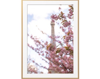 Paris Fine Art Photography – View from Trocadero, Vertical, Cherry Blossoms, Paris Wall Art, French Architecture, Large Wall Art