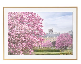 Paris Photography - Magnolia Garden in Paris,  Paris Art Print, Gallery Wall, Large Wall Art, Paris Home Decor