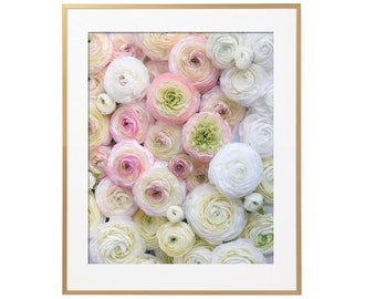 Floral Photography - Bed of Ranunculus Photograph, Floral Art Print, Gallery Wall, Large Wall Art, French Home Decor
