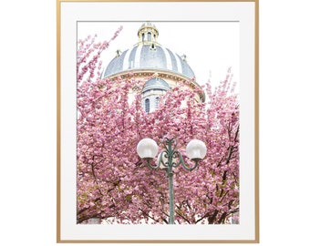 May include: A white building with a dome roof is partially obscured by a pink cherry blossom tree. A green street lamp with two white globes is in the foreground.