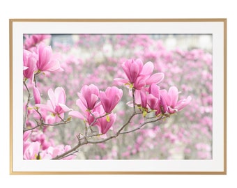 Photographie de Paris - Magnolias parisiens, impression d'art de Paris, mur de galerie, grand art mural, décoration d'intérieur de Paris