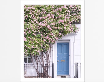London Photography - The Climbing Rose in Kensington, Pink Roses, Blue Door, England Travel Decor, Large Wall Art, Gallery Wall