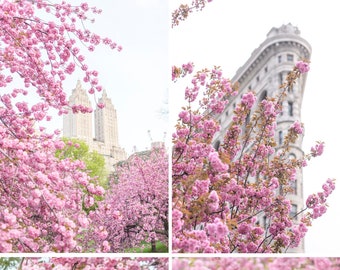 New York City Fine Art Photography – The New York Cherry Blossom Collection, Vertical New York Art Print, Large Wall Art