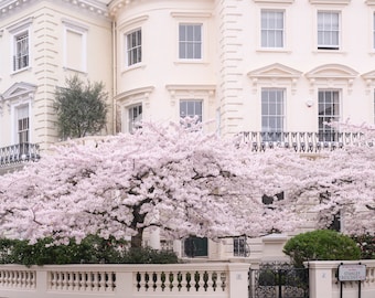 London Photograph - Stanley Crescent in Spring, England Fine Art Photographic Print, Travel Home Decor, Large Wall Art