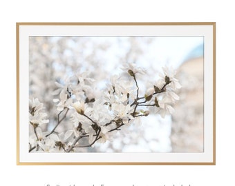 Paris Photography - White Magnolias at Pont Neuf, Paris Art Print, Gallery Wall, Large Wall Art, French Home Decor