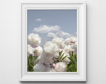 Flower Photography - Clouds of Peonies, Peonies, White Floral Fine Art Photograph, Still Life, Large Wall Art, Gallery Wall, Botanical Art