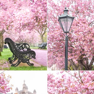London Fine Art Photography Collection – April in London Print Set, Cherry Blossoms, Gallery Wall, Paris Art, Large Wall Art