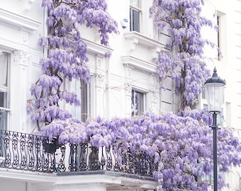 London Photography - Wisteria in Notting Hill, Spring in London, Purple Blossoms, England Travel Decor, Large Wall Art, Gallery Wall