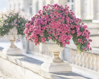Paris Photography - Mums in Paris, Jardin du Luxembourg, French Travel Photograph, Home Decor, Large Wall Art