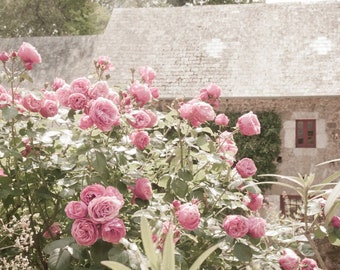 French Country Photography, Rose Garden and Cottage, Country Home Decor,  Fine Art Travel Photograph, Large Wall Art