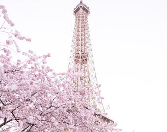Paris Photography - Early Cherry Blossoms at the Eiffel Tower, Spring in Paris, Travel Fine Art Photograph, Large Wall Art, Gallery Wall