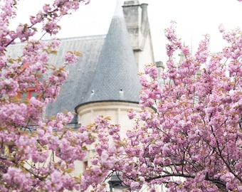 Fotografia de belas artes de Paris - Hotel de Sens na primavera, flores de cerejeira, arte em parede de Paris, arquitetura francesa, arte em parede grande