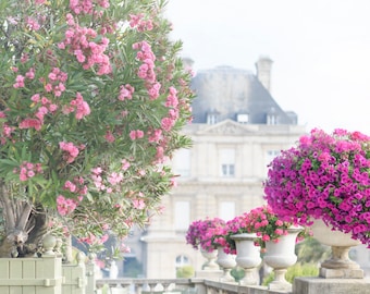 Paris Photography - Late Summer at Luxembourg Gardens, French Home Decor, Gallery Wall, Large Wall Art, Pink Paris Art Print